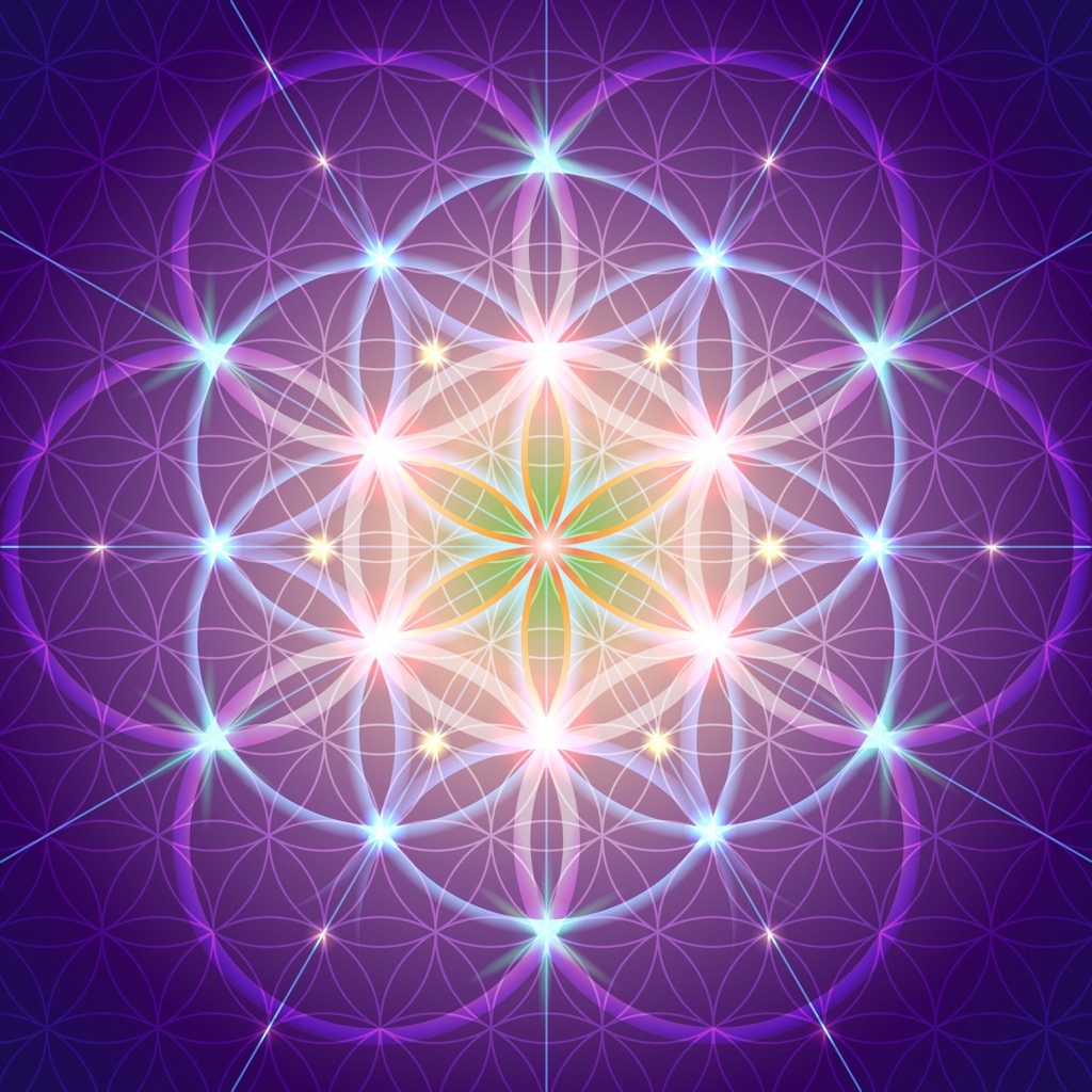 photo activite Bruno Bouquet