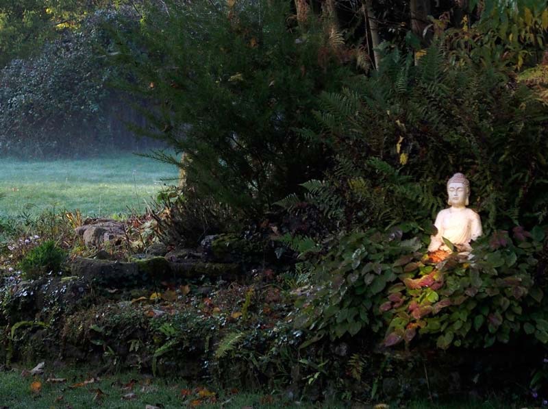 photo cabinet Les mains karuna