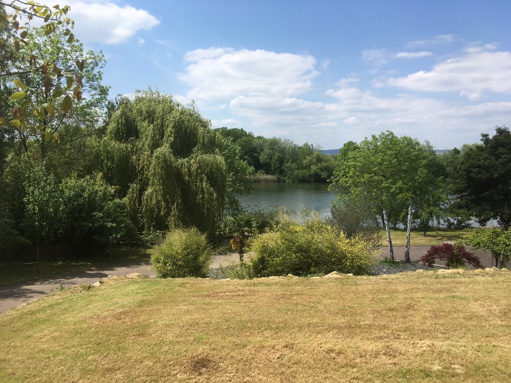 photo portrait Géraldine Dumazert