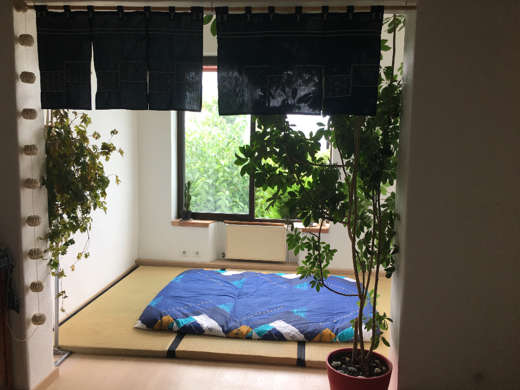 photo cabinet Zen shiatsu-la voie du coeur 