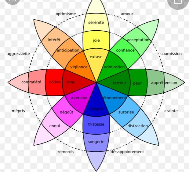 photo portrait Patrice Aly