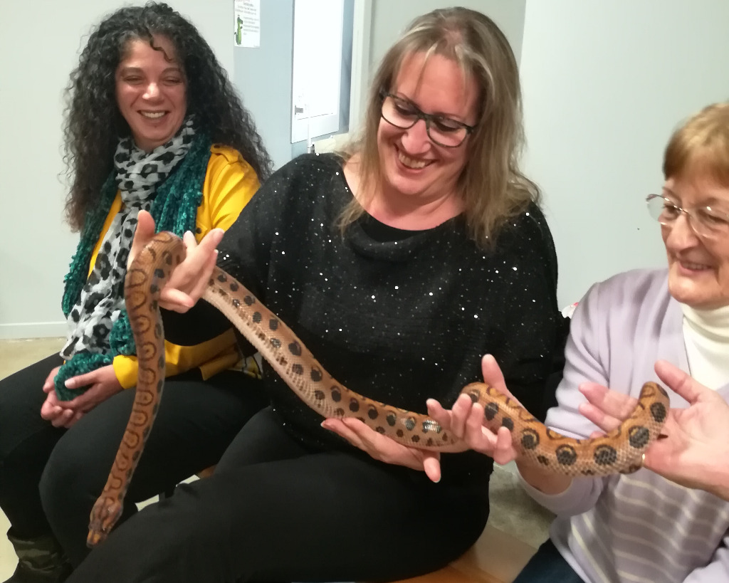 photo activite Cedric Holié 