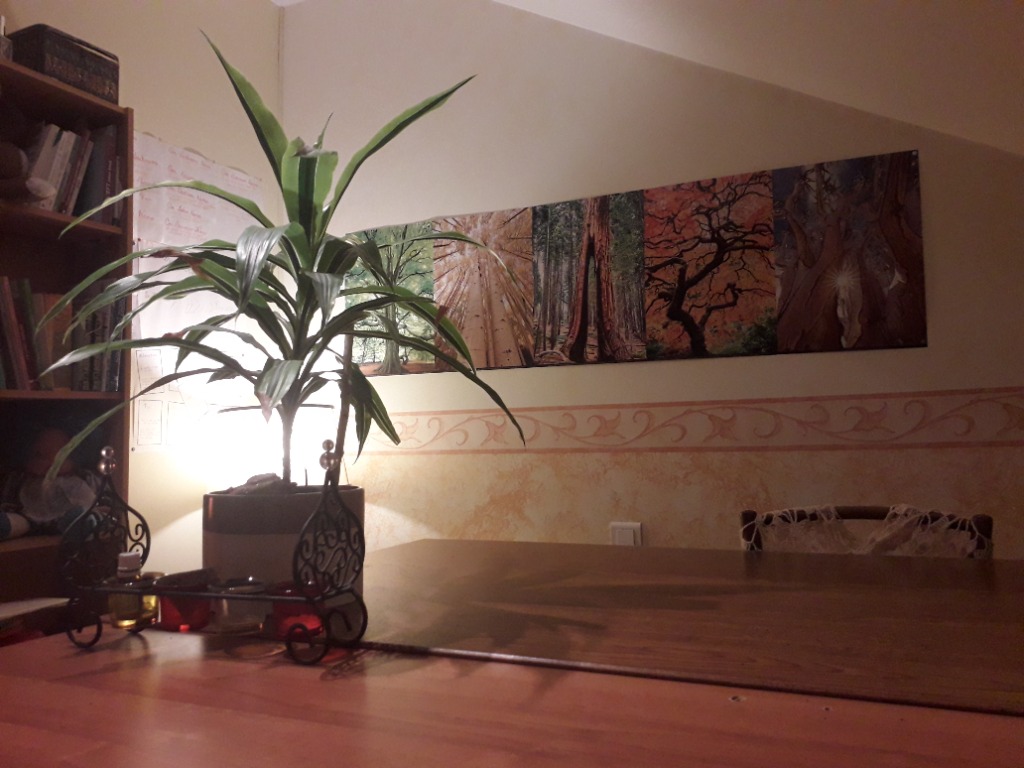 photo cabinet Blondelot