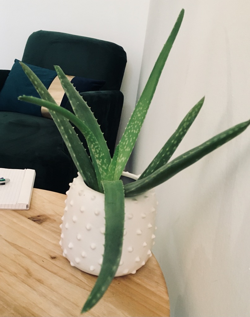 photo seance Carole Anaya