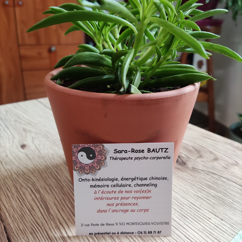 photo activite Sara-Rose BAUTZ