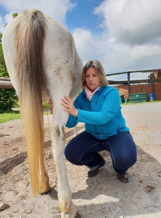 photo activite Une Main Pour Soi Alice Poiret