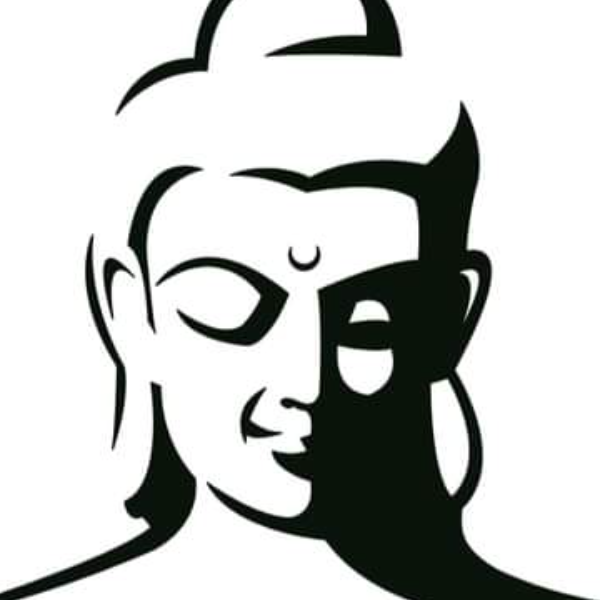 S&F nature et bien-être 