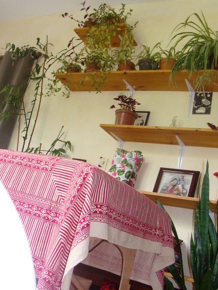 photo cabinet Gilles Lissek