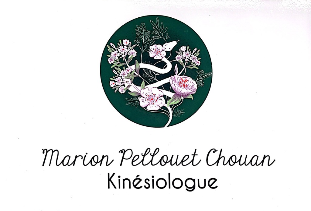 photo cabinet Marion Pellouet Chouan