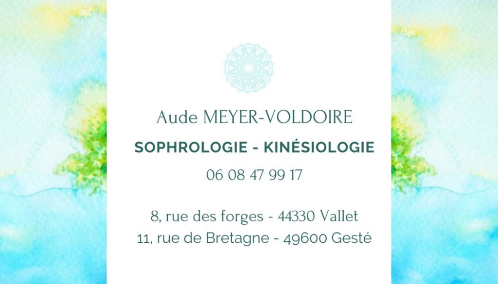 photo activite Aude VOLDOIRE-MEYER