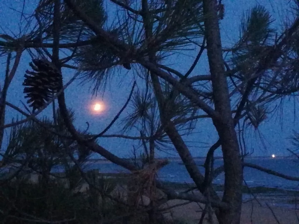 photo activite Nicolas SOMMEREUX