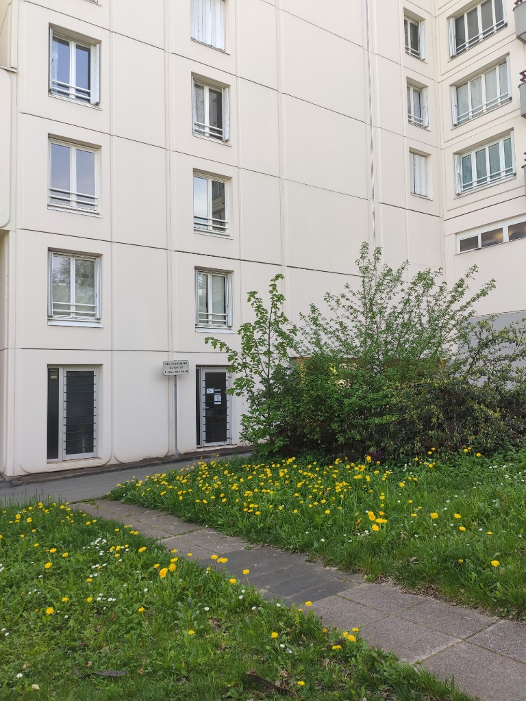 photo cabinet Gwladys ROMAIN