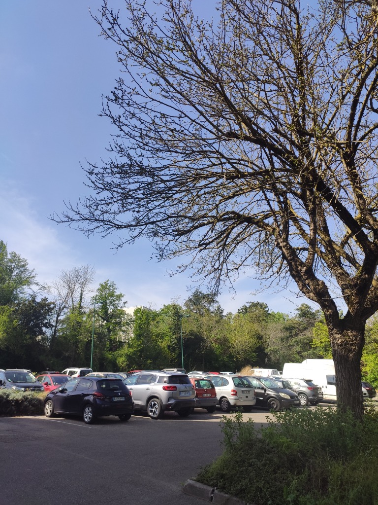 photo seance Gwladys ROMAIN