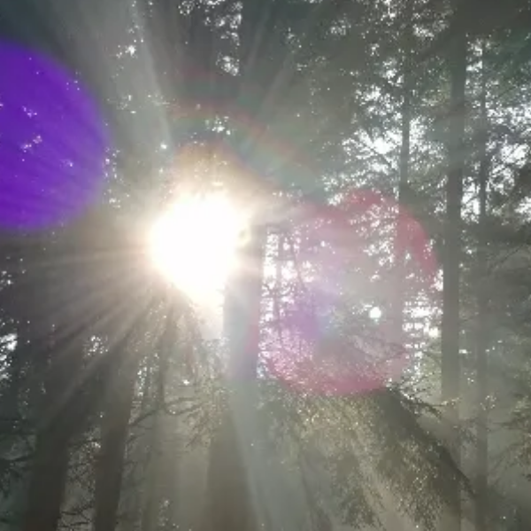 Marie Andrée HERBEAU