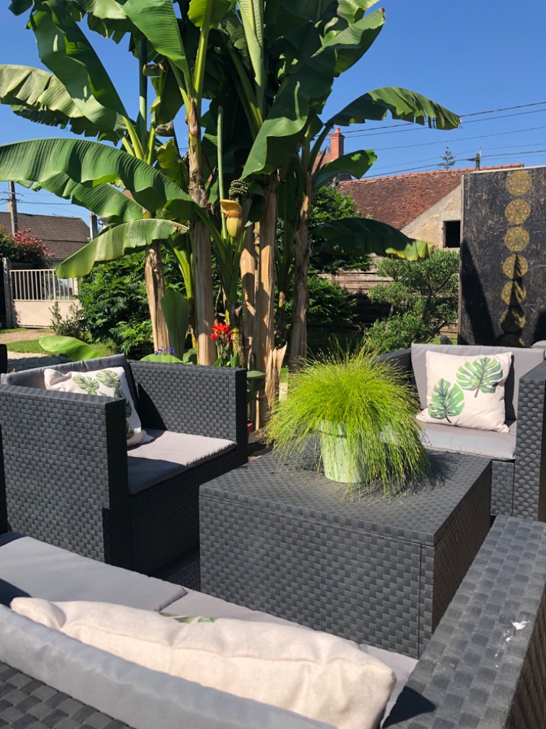 photo cabinet Marie pierre Roy