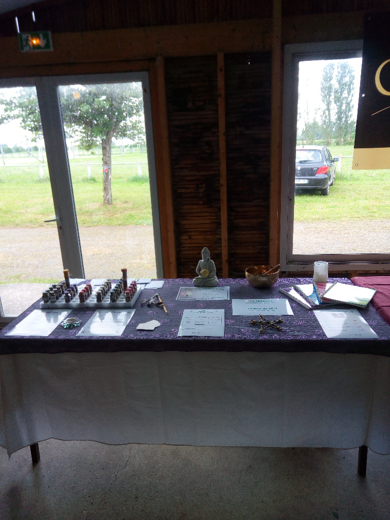 photo activite Sandrine LE FLOHIC