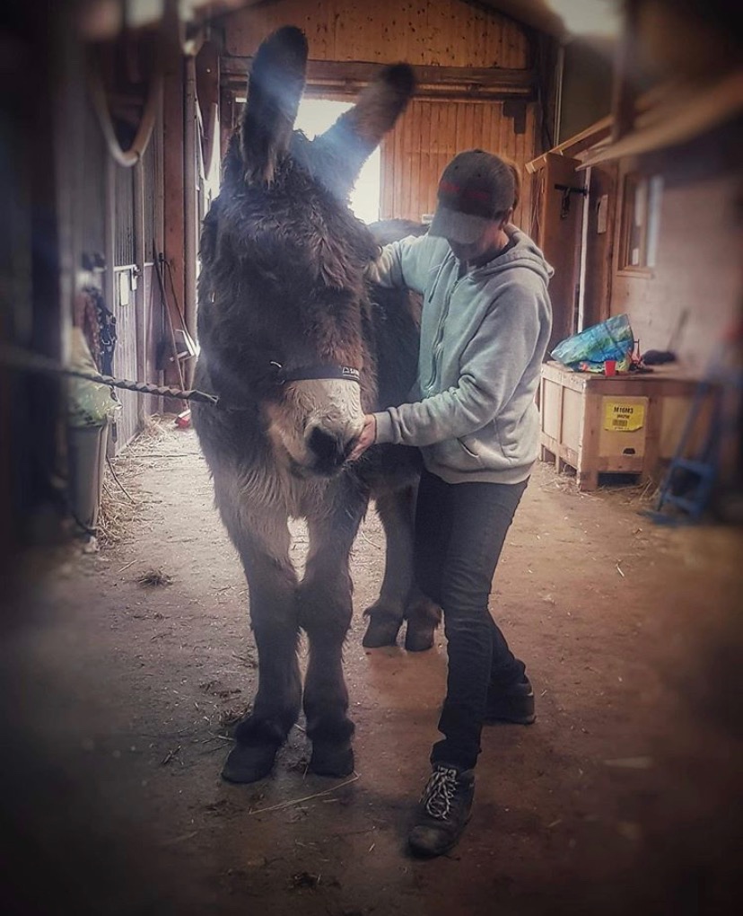 photo seance Audrey Shiatsu 