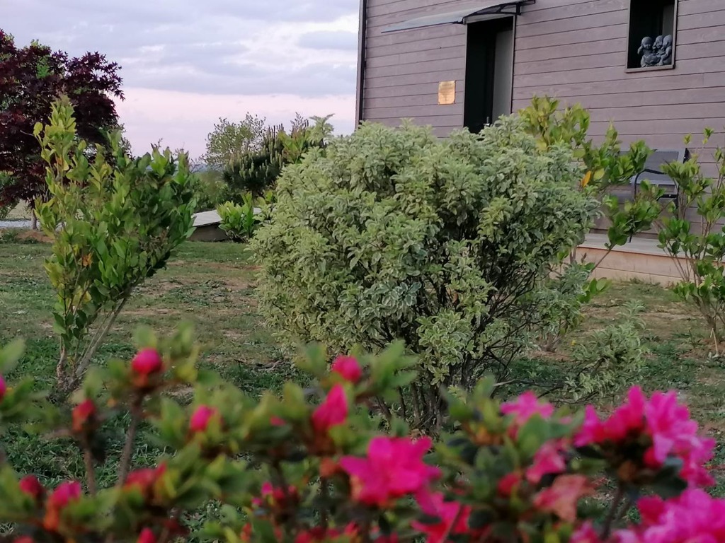 photo cabinet Stéphanie DULAY