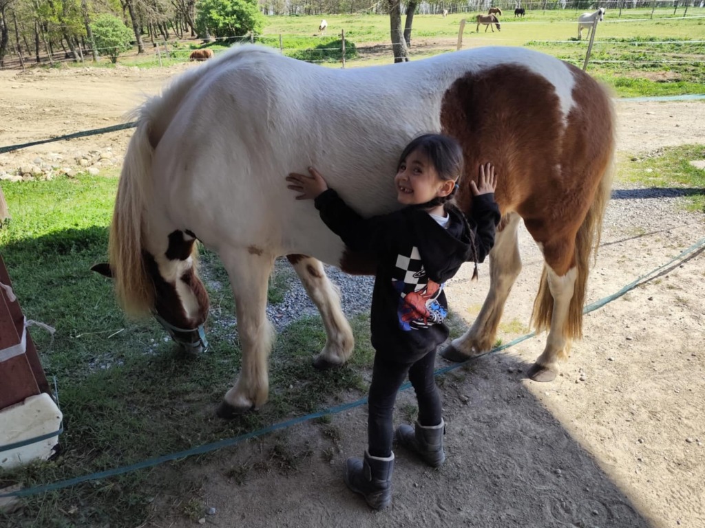 photo cabinet Equi’Libre naturel-Santé