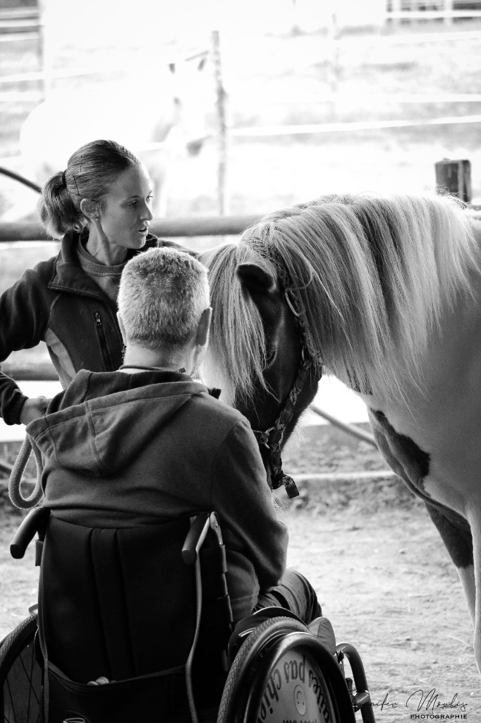 photo diplome Equi’Libre naturel-Santé