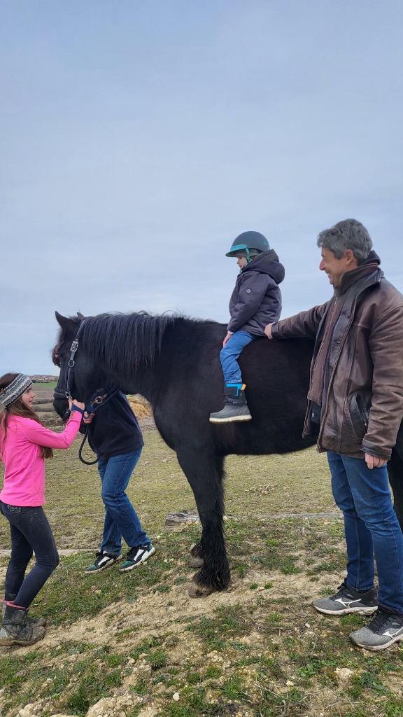 photo seance Equi’Libre naturel-Santé