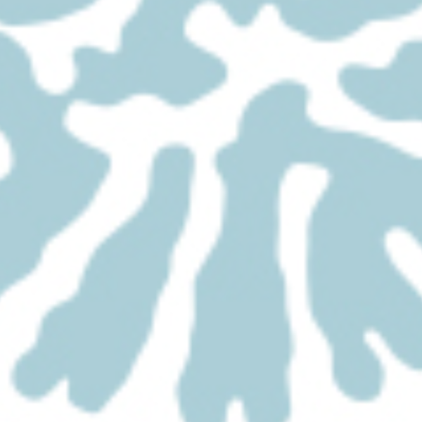 LYXIS Hélène Bonis-Montoyat