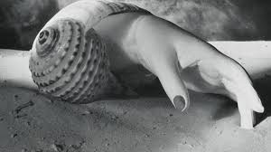 photo portrait LYXIS Hélène Bonis-Montoyat