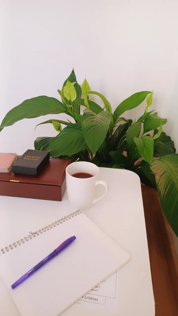 photo cabinet R’êveil Amandine Rouyer 