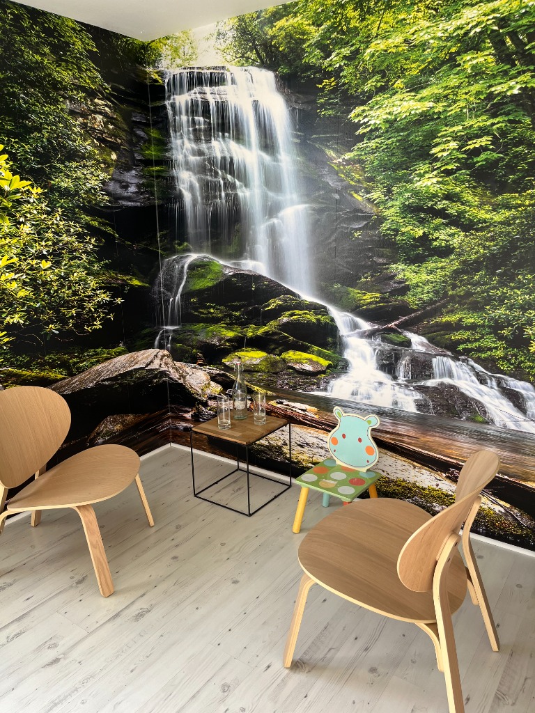 photo cabinet Yolaine DESROCHE