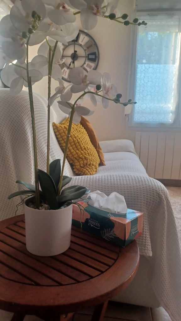 photo cabinet Murielle ROUYARD