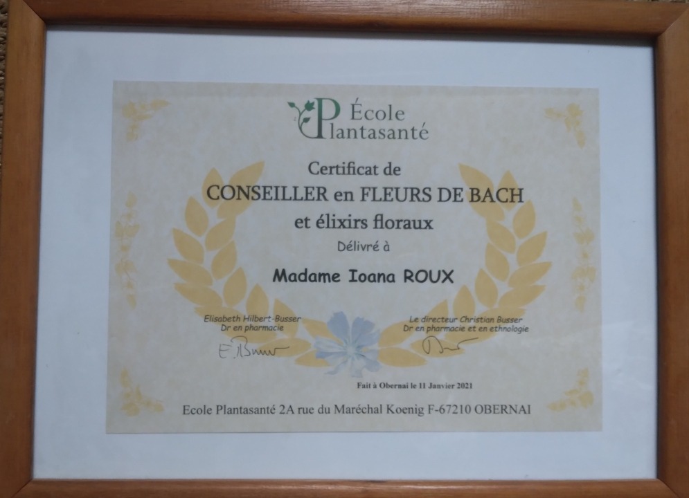 photo diplome Ioana Roux