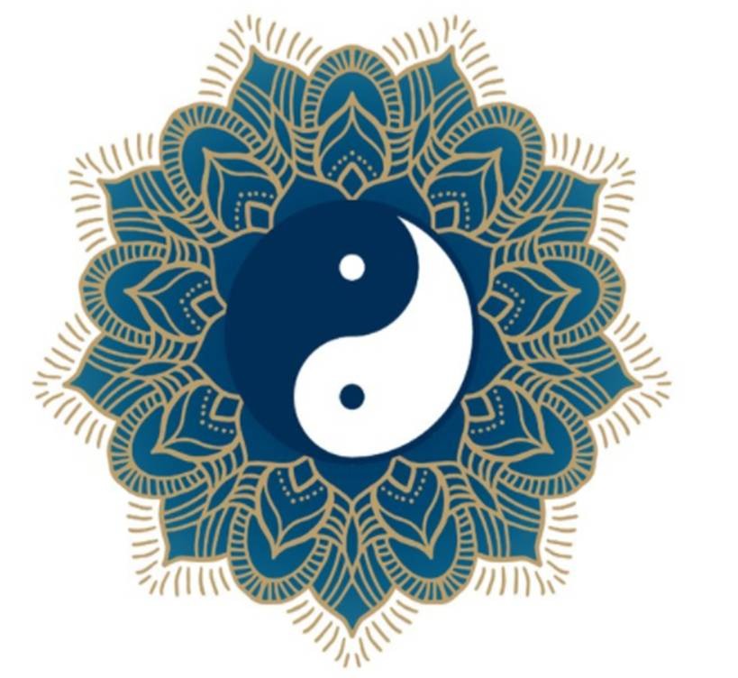 photo portrait Amandine Bray