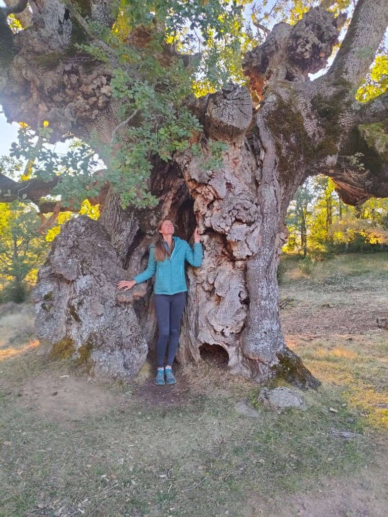 photo cabinet Emilie Echave