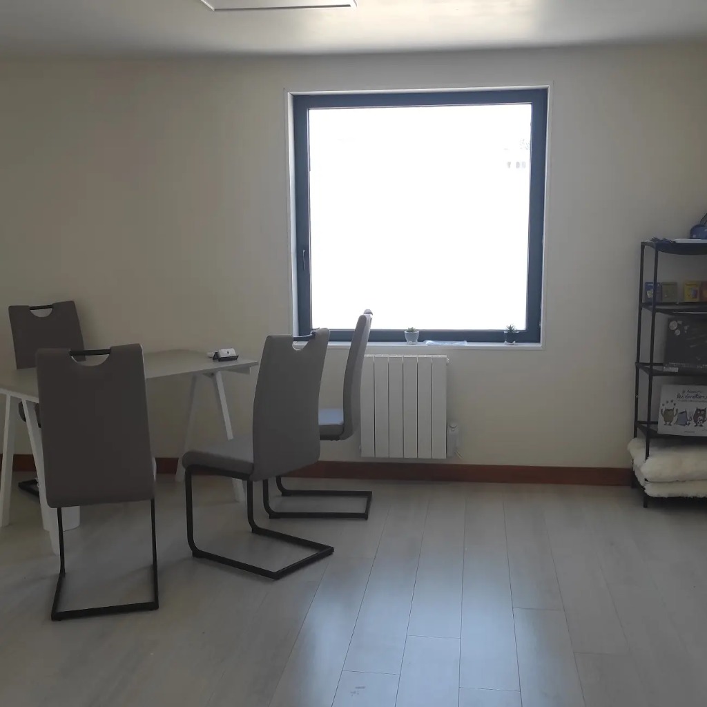 photo cabinet Apolline Tanguy