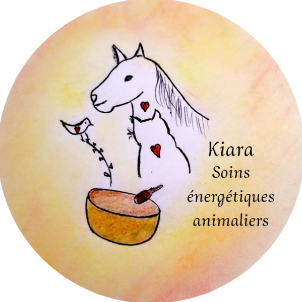 Kiara, soins énergétiques animaliers