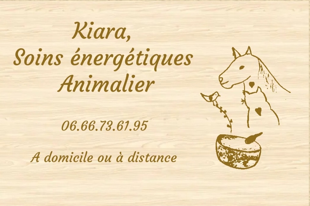 photo activite Kiara, soins énergétiques animaliers