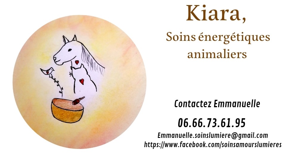 photo cabinet Kiara, soins énergétiques animaliers