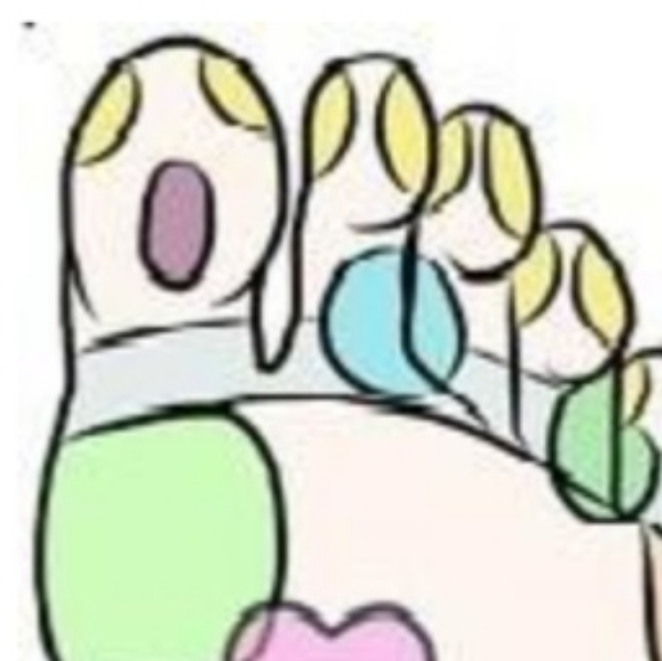 Françoise MARIETTE-JACQUAT