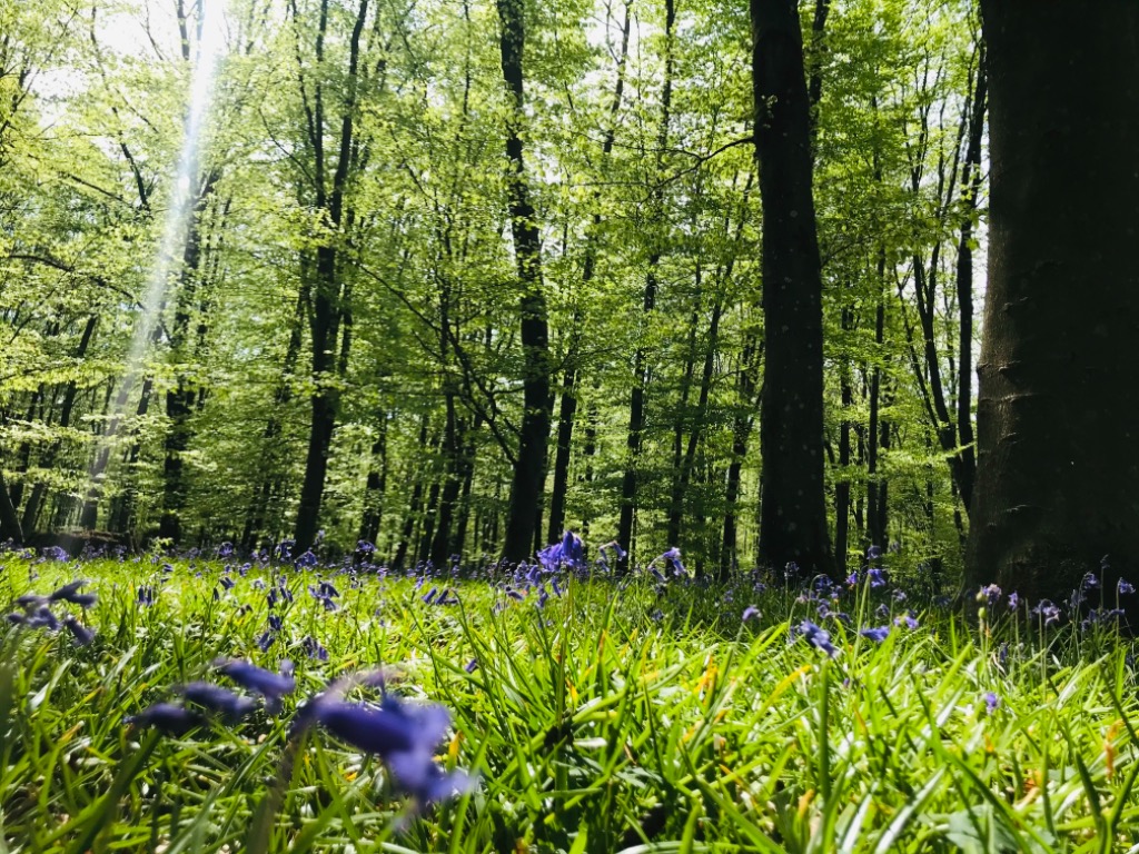 photo activite Terhappyzone 