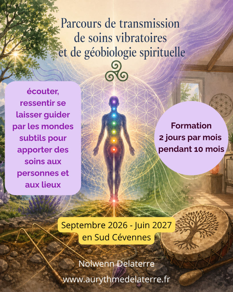 photo activite Nolwenn Delaterre