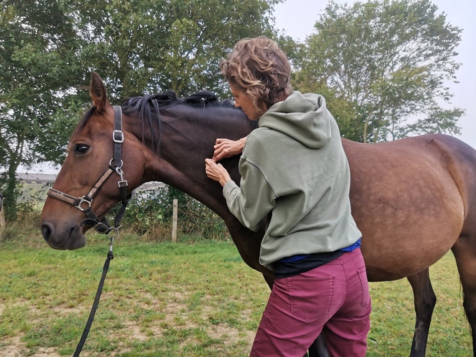 photo seance Equi’n Equilibre