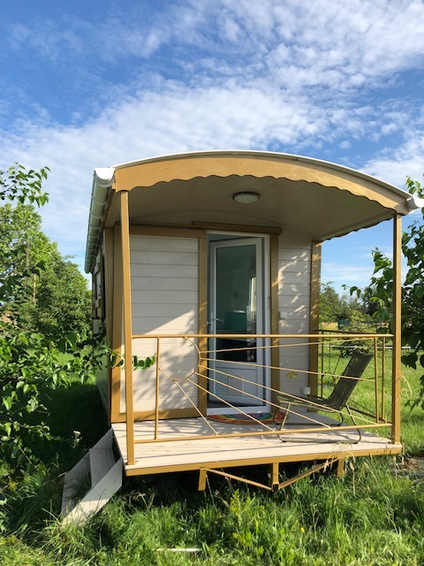 photo portrait Les 5 Sens