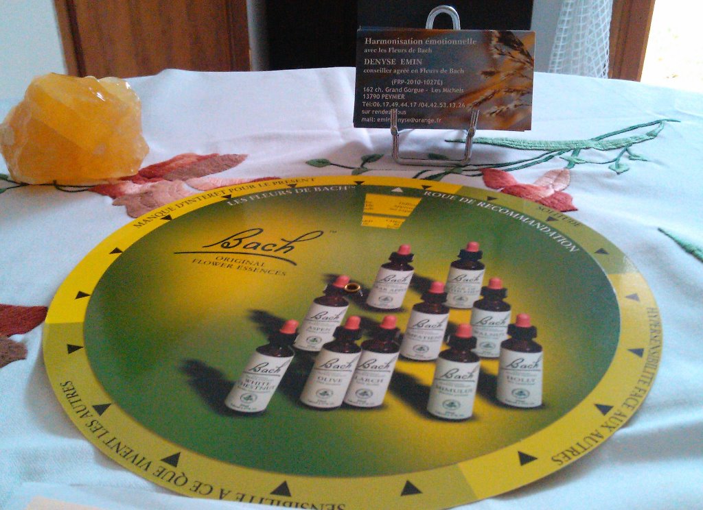 photo activite Denyse Emin