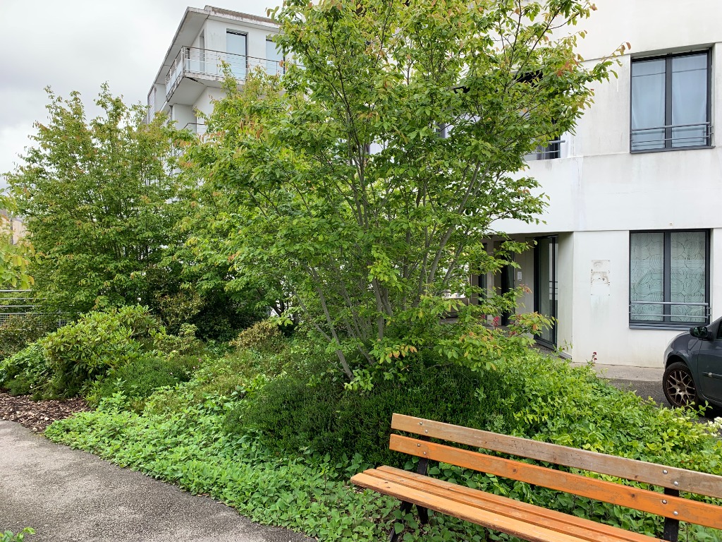 photo cabinet William GROGNIER