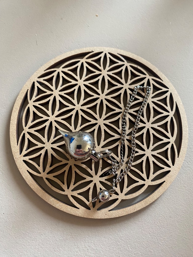 photo activite Carole Martinet