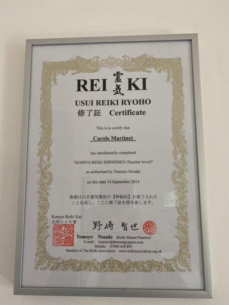 photo diplome Carole Martinet