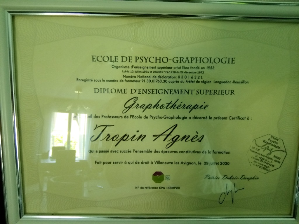 photo diplome TROPIN