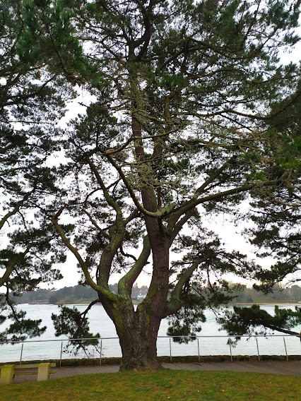 photo activite Corinne Maarek 