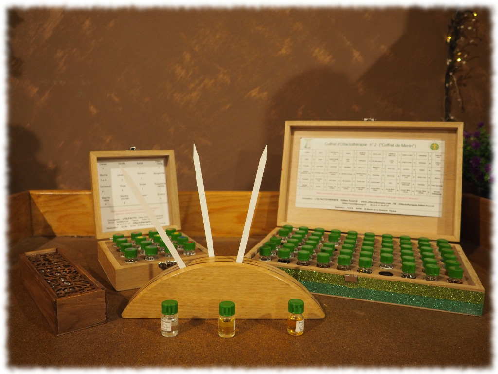 photo activite Noëlle PICQUET