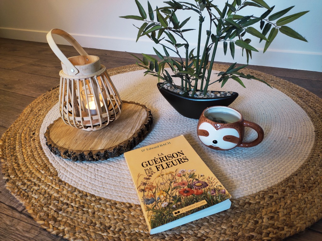 photo activite Juliette JOAZILE